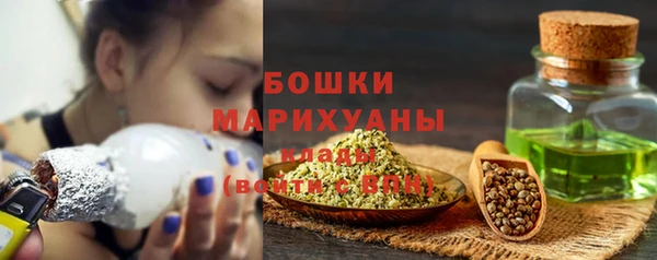 ПСИЛОЦИБИНОВЫЕ ГРИБЫ Аркадак