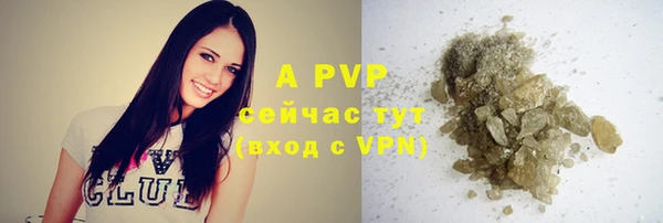 ПСИЛОЦИБИНОВЫЕ ГРИБЫ Аркадак