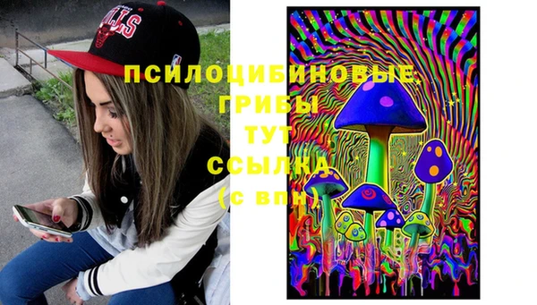 Альфа ПВП Арсеньев
