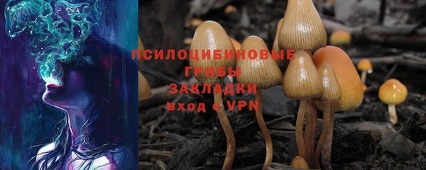 spice Армянск