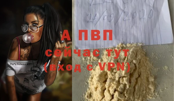 Альфа ПВП Арсеньев