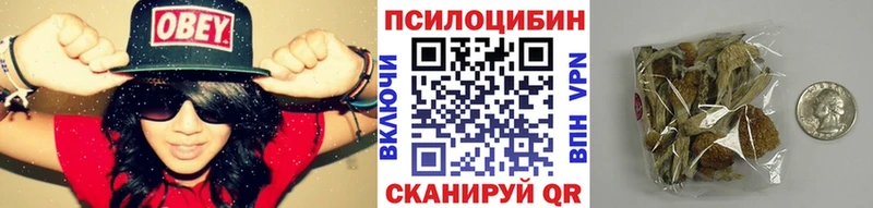 наркотики  Рославль  Псилоцибиновые грибы MAGIC MUSHROOMS 